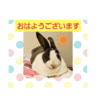 ミニレッキスのレッキーの日常2（個別スタンプ：1）