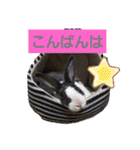 ミニレッキスのレッキーの日常2（個別スタンプ：4）