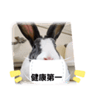 ミニレッキスのレッキーの日常2（個別スタンプ：21）