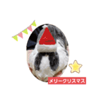 ミニレッキスのレッキーの日常2（個別スタンプ：25）