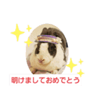 ミニレッキスのレッキーの日常2（個別スタンプ：27）