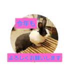 ミニレッキスのレッキーの日常2（個別スタンプ：28）