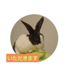 ミニレッキスのレッキーの日常2（個別スタンプ：29）