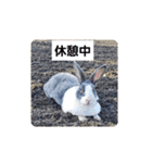 ミニレッキスのレッキーの日常2（個別スタンプ：31）