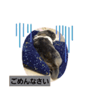 ミニレッキスのレッキーの日常2（個別スタンプ：33）