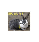 ミニレッキスのレッキーの日常2（個別スタンプ：38）