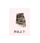 ユルかわうさぎのきなこ（個別スタンプ：2）