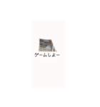 ユルかわうさぎのきなこ（個別スタンプ：3）