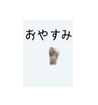 ユルかわうさぎのきなこ（個別スタンプ：4）