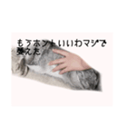 ユルかわうさぎのきなこ（個別スタンプ：5）