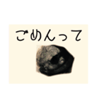 ユルかわうさぎのきなこ（個別スタンプ：6）