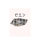 ユルかわうさぎのきなこ（個別スタンプ：7）