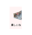 ユルかわうさぎのきなこ（個別スタンプ：13）