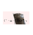 ユルかわうさぎのきなこ（個別スタンプ：14）