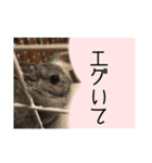ユルかわうさぎのきなこ（個別スタンプ：16）