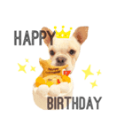 Kai_frenchbulldog（個別スタンプ：8）