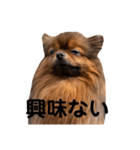おんさま（個別スタンプ：8）