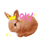 うさぎのラリちゃん（個別スタンプ：2）