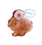 うさぎのラリちゃん（個別スタンプ：4）