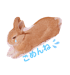 うさぎのラリちゃん（個別スタンプ：5）