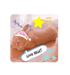 うさぎのラリちゃん（個別スタンプ：7）