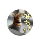 みちょ1（個別スタンプ：1）