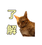 みちょ1（個別スタンプ：2）