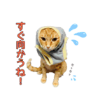 みちょ1（個別スタンプ：3）