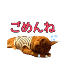 みちょ1（個別スタンプ：6）