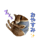 みちょ1（個別スタンプ：8）