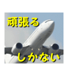 飛行機のつぶやき013（個別スタンプ：18）