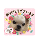 おとこまえ ジョイくん（個別スタンプ：8）