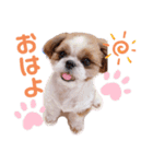 げんスタンプ（普段＆MAX）（個別スタンプ：3）