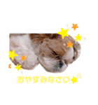 げんスタンプ（普段＆MAX）（個別スタンプ：4）