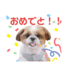 げんスタンプ（普段＆MAX）（個別スタンプ：6）