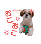 げんスタンプ（普段＆MAX）（個別スタンプ：19）