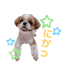 げんスタンプ（普段＆MAX）（個別スタンプ：21）