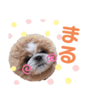 げんスタンプ（普段＆MAX）（個別スタンプ：22）