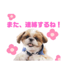 げんスタンプ（普段＆MAX）（個別スタンプ：31）