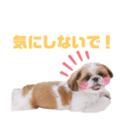 げんスタンプ（普段＆MAX）（個別スタンプ：32）