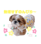 げんスタンプ（普段＆MAX）（個別スタンプ：36）