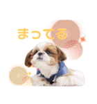 げんスタンプ（普段＆MAX）（個別スタンプ：37）