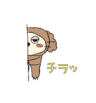 飼い犬こっすけくん（個別スタンプ：3）