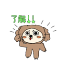 飼い犬こっすけくん（個別スタンプ：8）