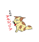 かわいい動物スタンプ お国ギャグシリーズ（個別スタンプ：5）