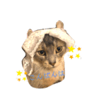 アンリコリン（個別スタンプ：3）