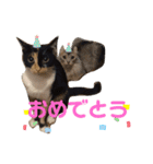 アンリコリン（個別スタンプ：16）