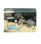 いい、人生（個別スタンプ：2）