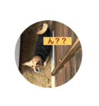 いい、人生（個別スタンプ：6）