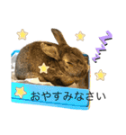ウサくんの日常（個別スタンプ：3）